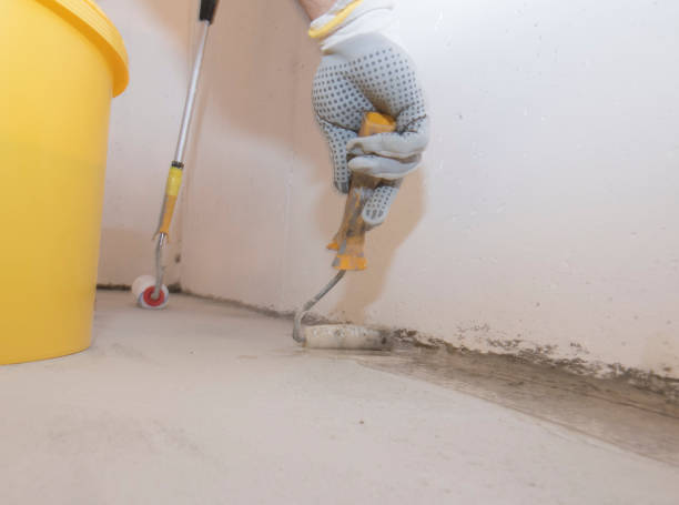 Best Bed Bug Extermination  in Bally, PA